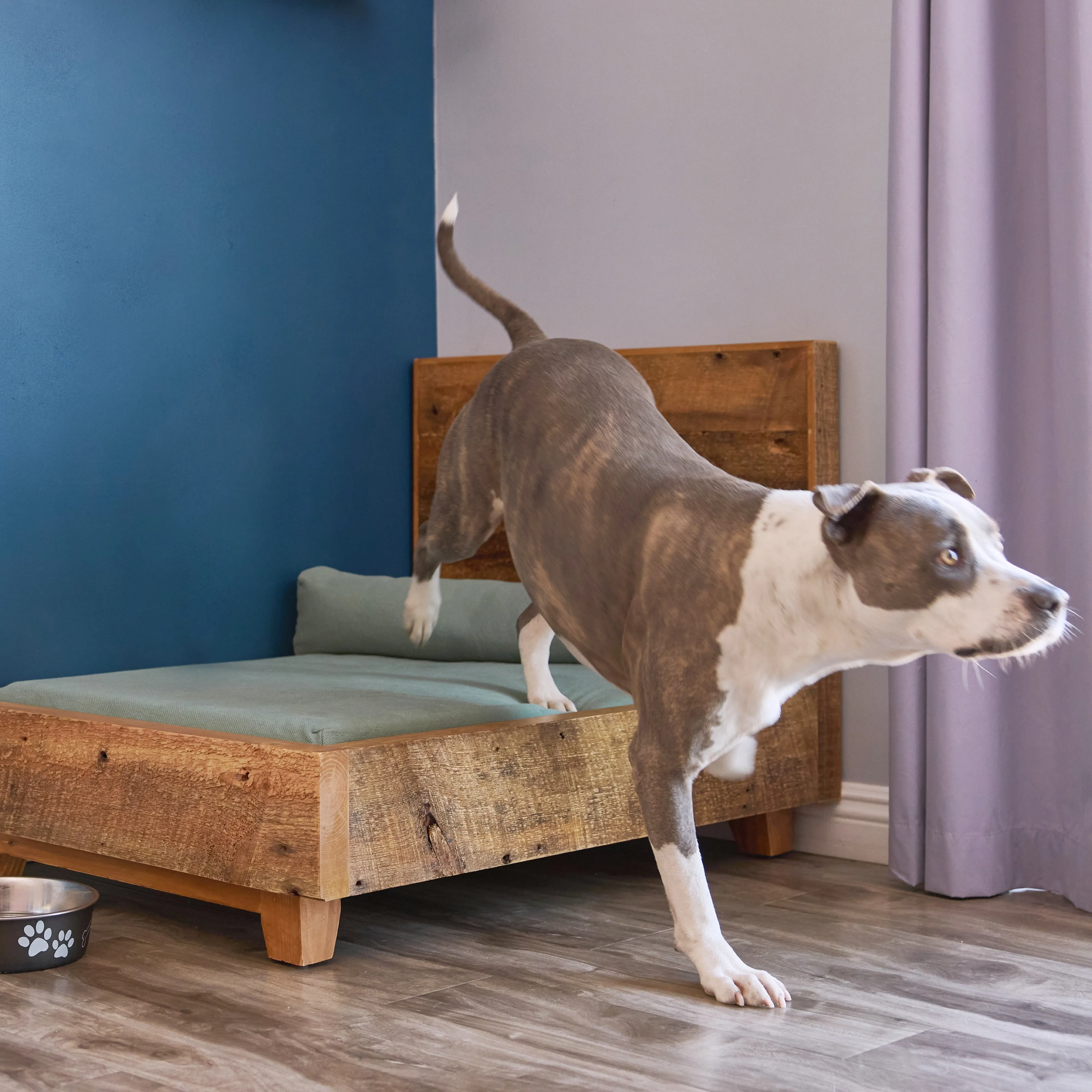 Dog Bed Frame