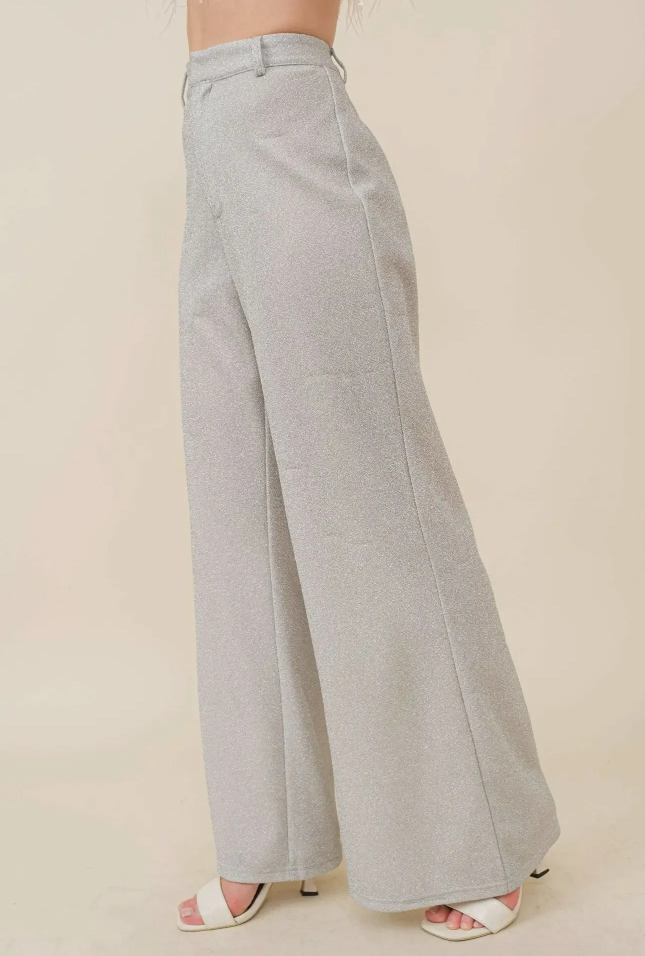 Silver Wide Leg Pants