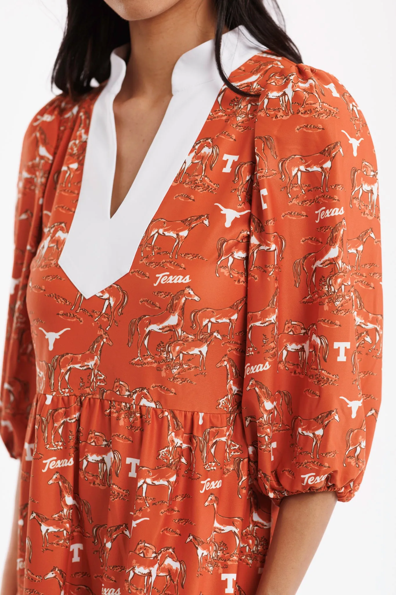 Tailgate Collection Tory Dress - Texas Horse Toile