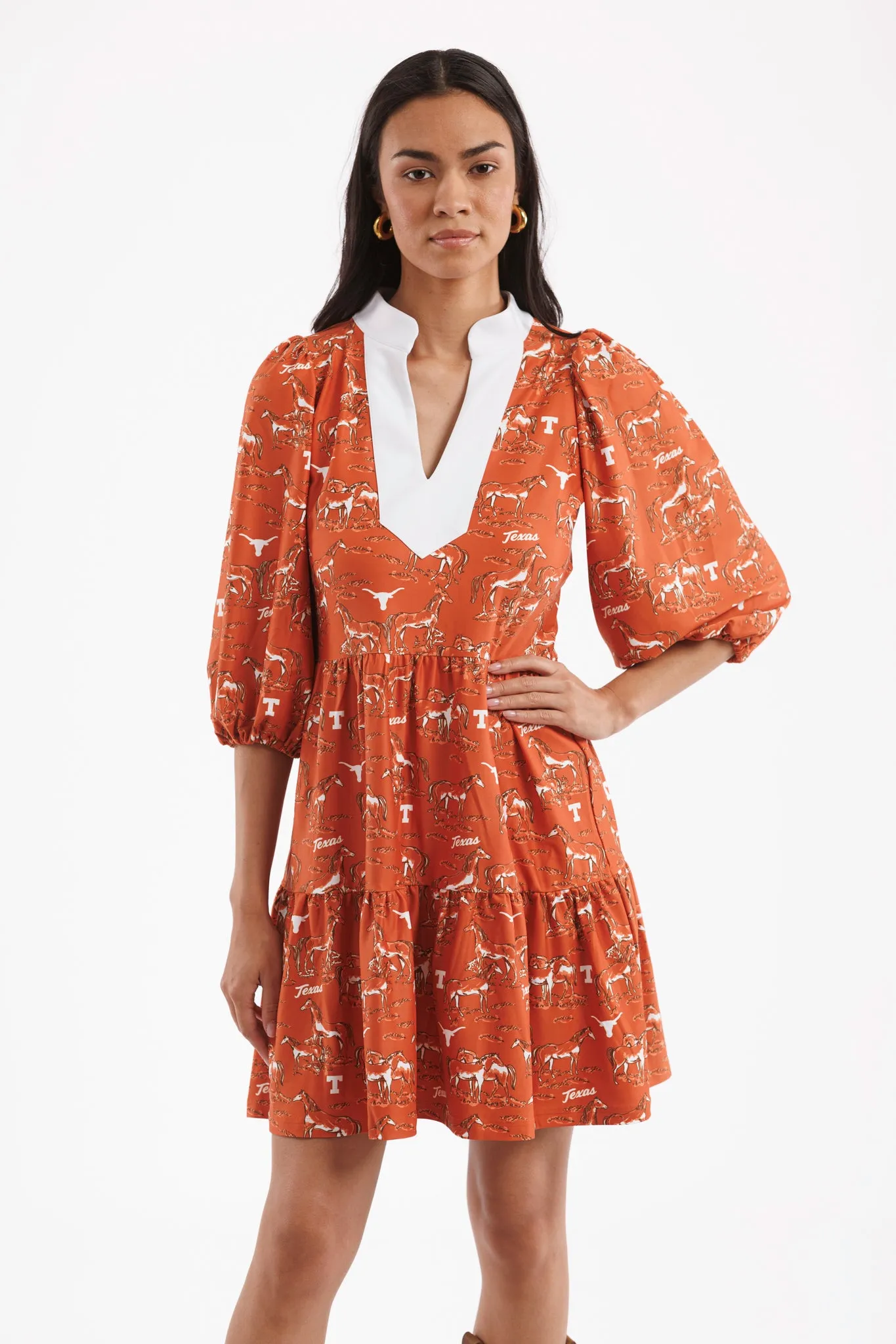 Tailgate Collection Tory Dress - Texas Horse Toile